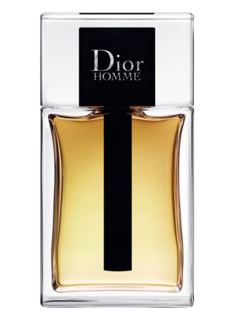 dior homme eau de toilette 2019|christian Dior Homme 2020.